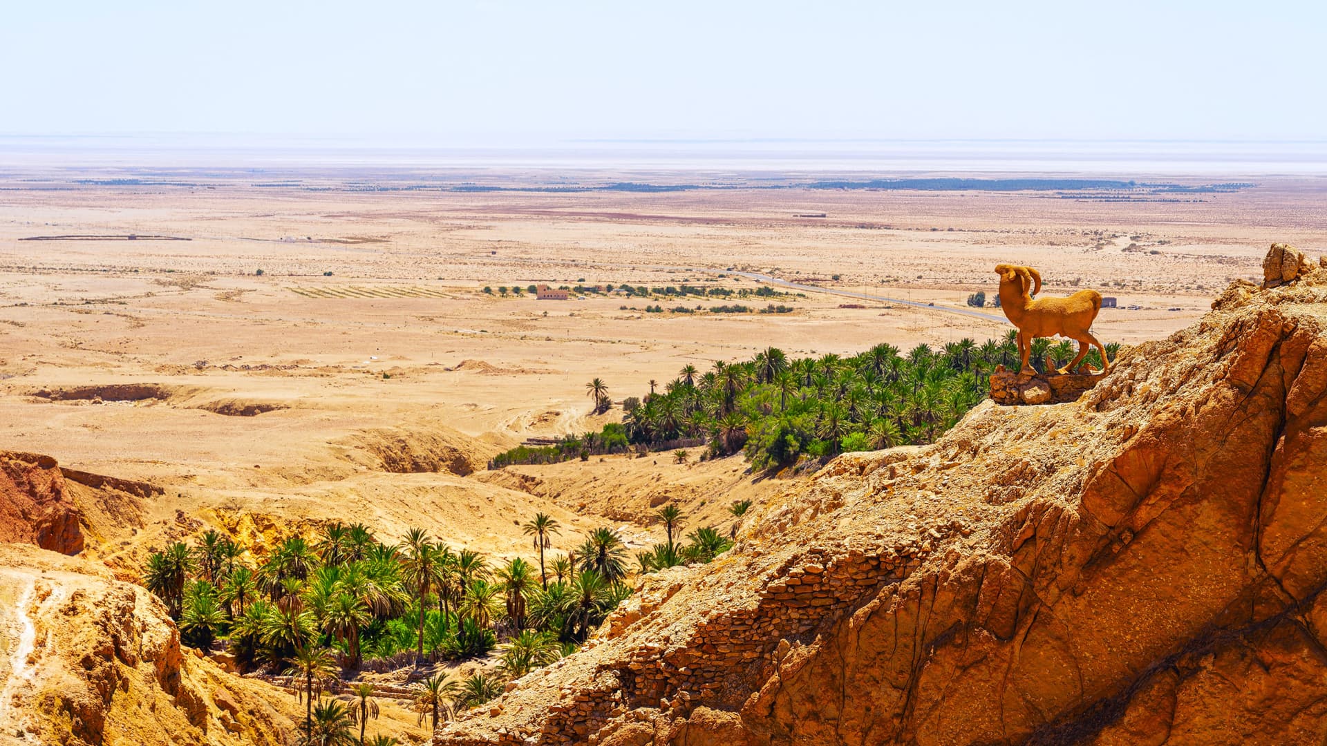 Sahara y oasis