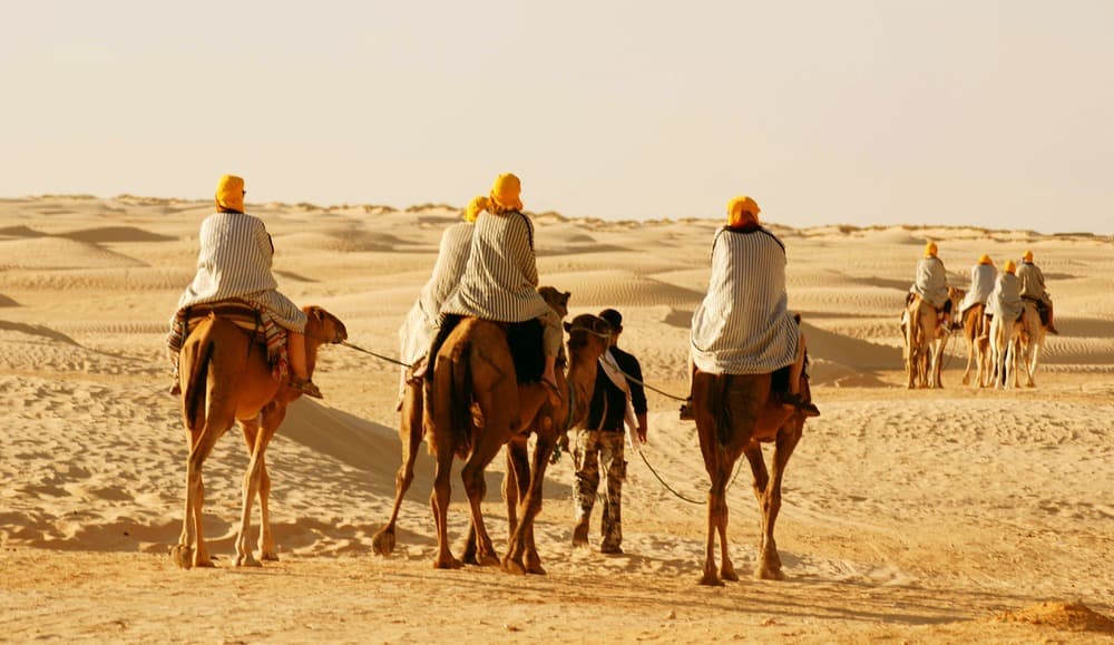 Partir en camelada por el desierto